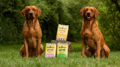 Axel’s Elixir launches new Milk and Honey range