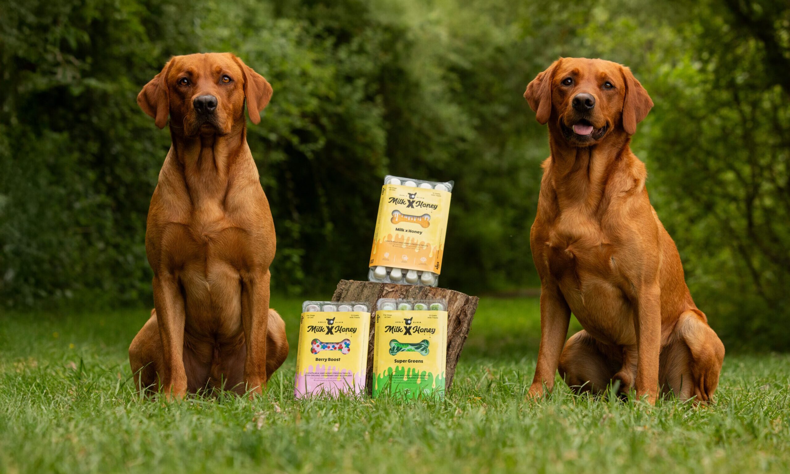 Axel’s Elixir launches new Milk and Honey range