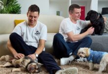 Dog Trainer School issues recommendation for PAWD Calming Pouch