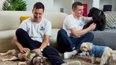 Pawd Drinks backs Dog Awareness Week to help protect delivery workers