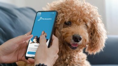 Pet Acoustics+ app introduces first-ever mobile hearing test and calming music platform for companion animals