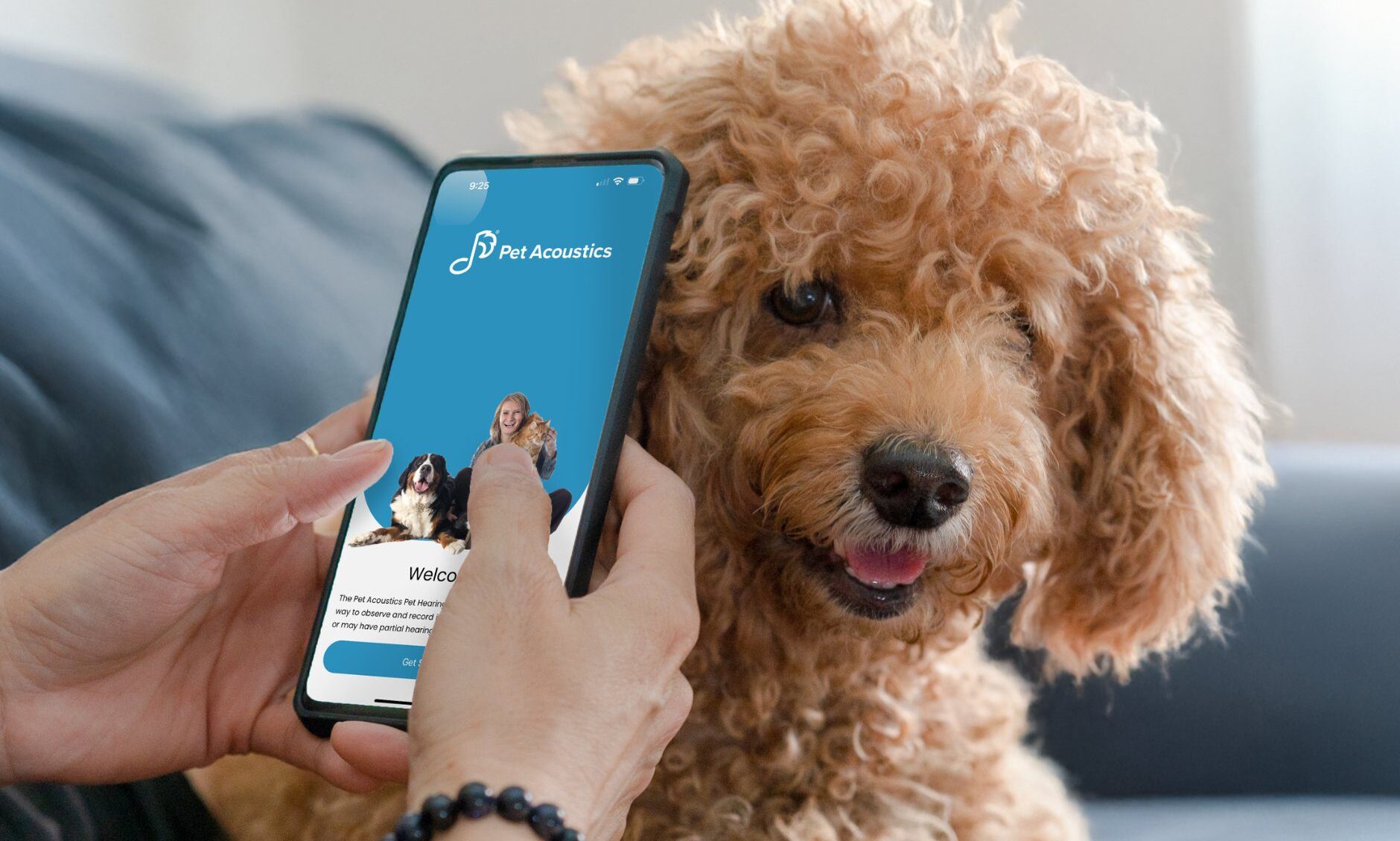 Pet Acoustics+ app introduces first-ever mobile hearing test and calming music platform for companion animals