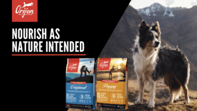 ORIJEN – Nourish as nature intended with biologically appropriate dog food