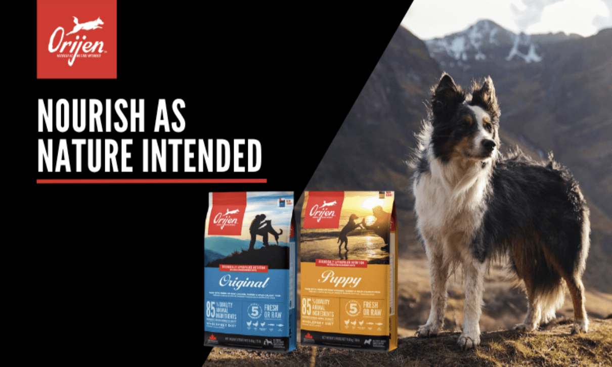 ORIJEN – Nourish as nature intended with biologically appropriate dog food