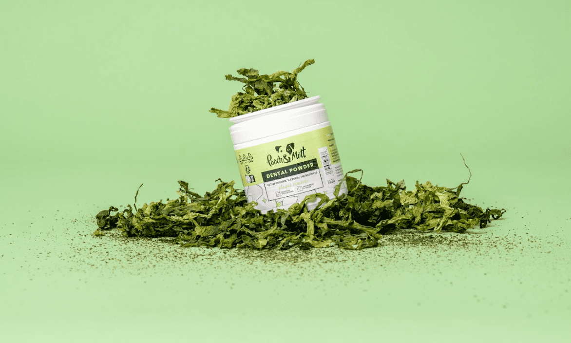 Pooch and Mutt launches vet-approved natural dental powder