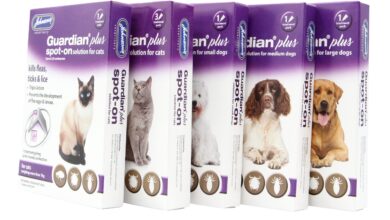 Johnsons launches Guardian Plus Spot On