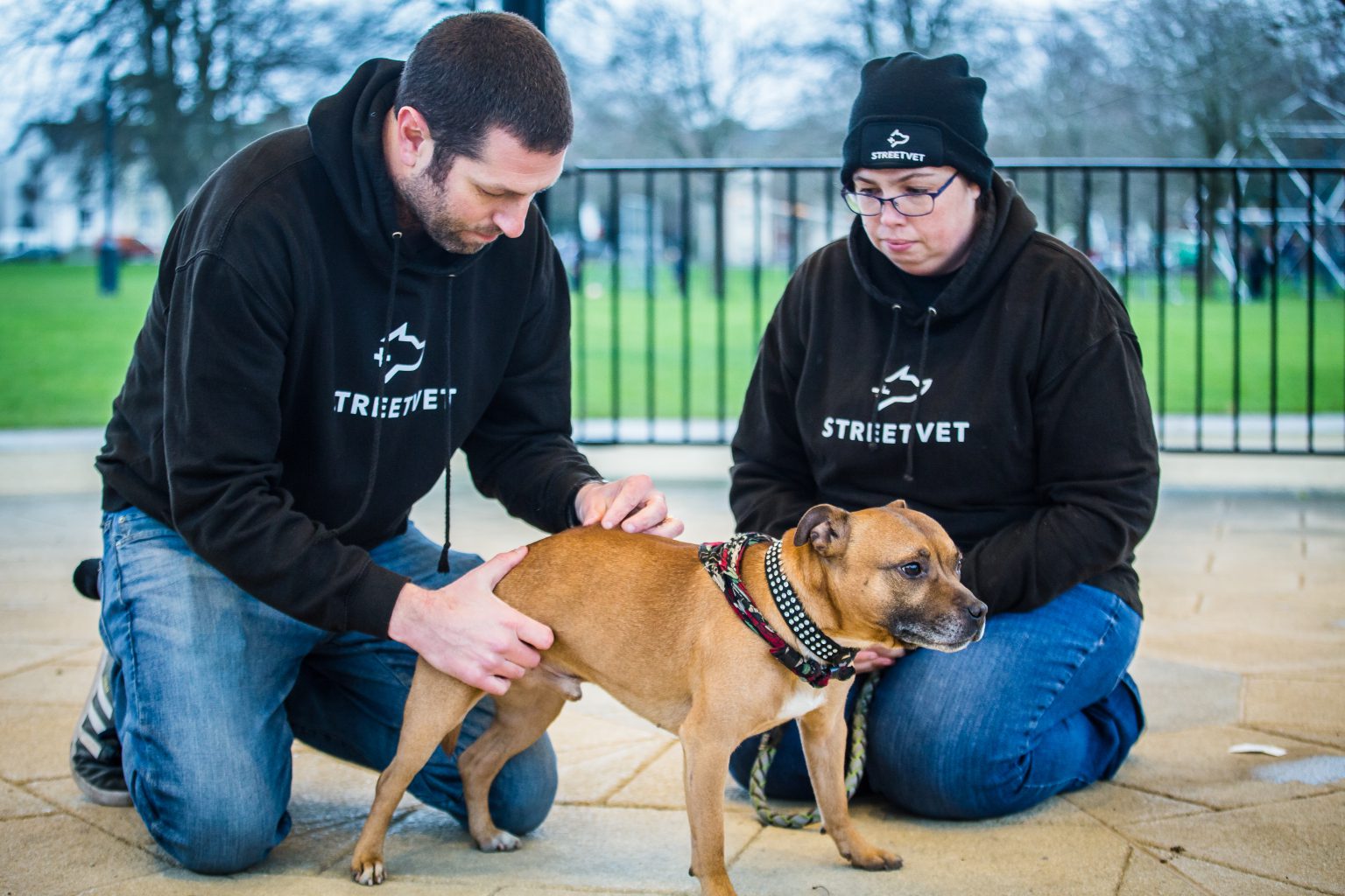 How Purina’s BetterWithPets prize has helped StreetVet’s mission go further