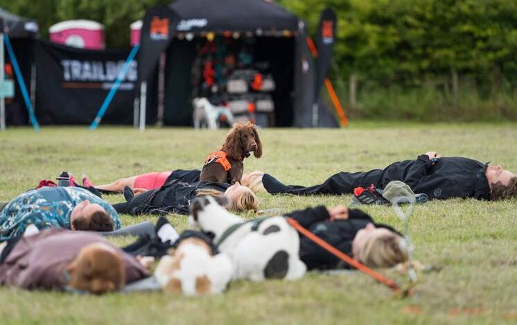 Non-Stop Dogwear and Traildog launch dog wellness weekend