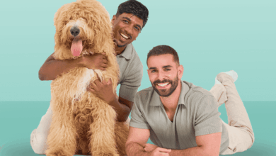 Omni secures B Corp status