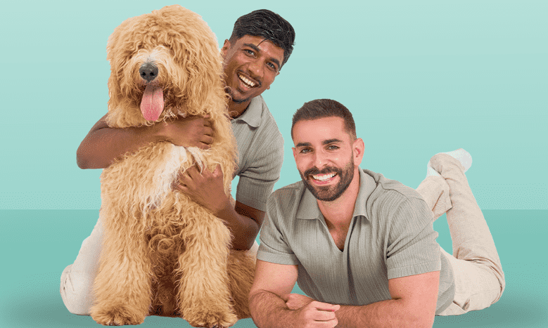 Omni secures B Corp status