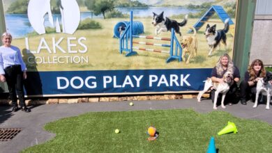 The Lakes Collection Dog Play Park opens in Cumbria