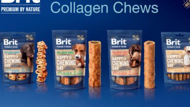 Brit Premium by Nature launches collagen chewable treats for dogs