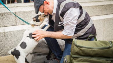 Five reasons why your organisation should apply for the Purina BetterWithPets Prize today