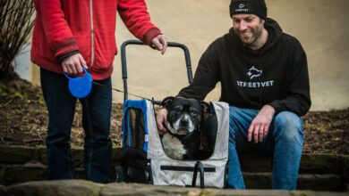 Hear from Purina’s BetterWithPets Prize winners on how they’ve transformed their organisations