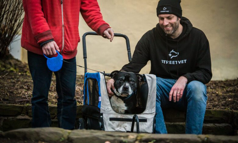 Hear from Purina’s BetterWithPets Prize winners on how they’ve transformed their organisations