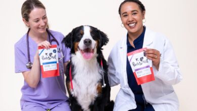 Pooch and Mutt launches at-home gut health test for dogs
