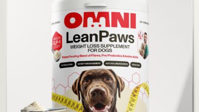 OMNI unveils Lean Paws ‘Ozempic for dogs’