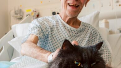 Final call for organisations to apply for the Purina BetterWithPets Prize 2025
