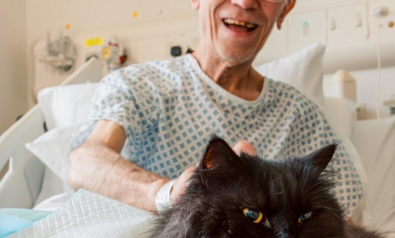 How Pets As Therapy benefited from the Purina BetterWithPets Prize – and why your organisation should apply for 2025