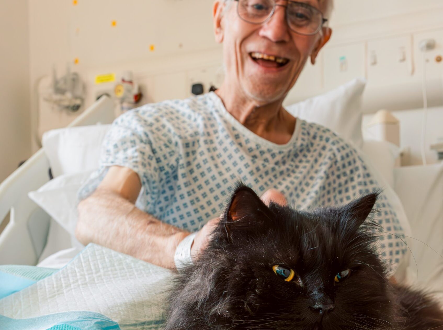 Final call for organisations to apply for the Purina BetterWithPets Prize 2025