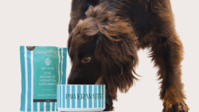 Pawer Water wins pet wellness award