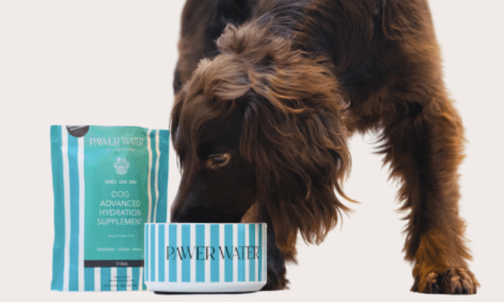 Pawer Water wins pet wellness award