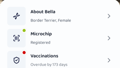 Pet Records launches Boop Digital Vaccination Certificates