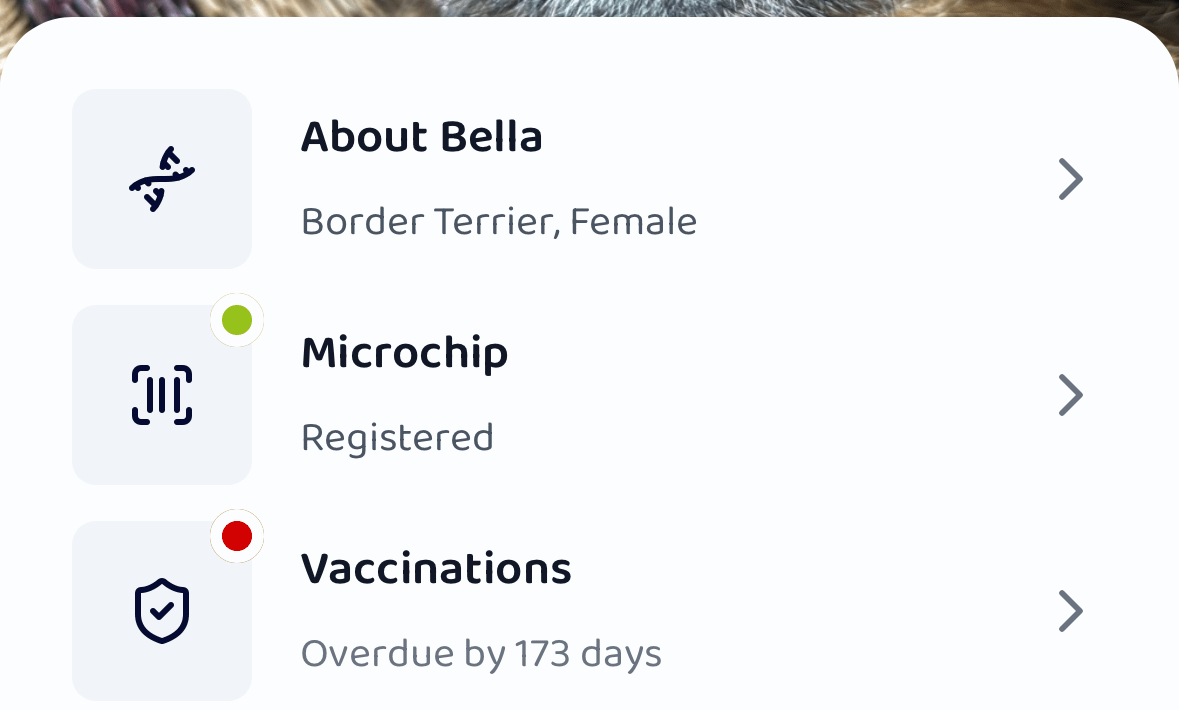 Pet Records launches Boop Digital Vaccination Certificates