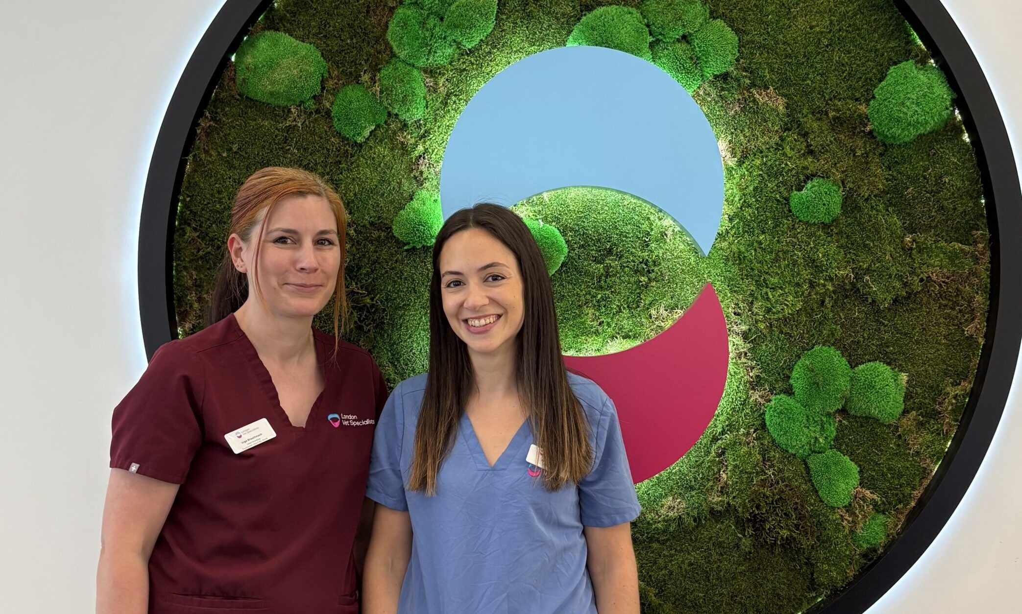 London Vet Specialists launches oncology service for pets