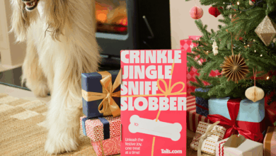 Tails.com launches 2025 Advent Calendar for dogs