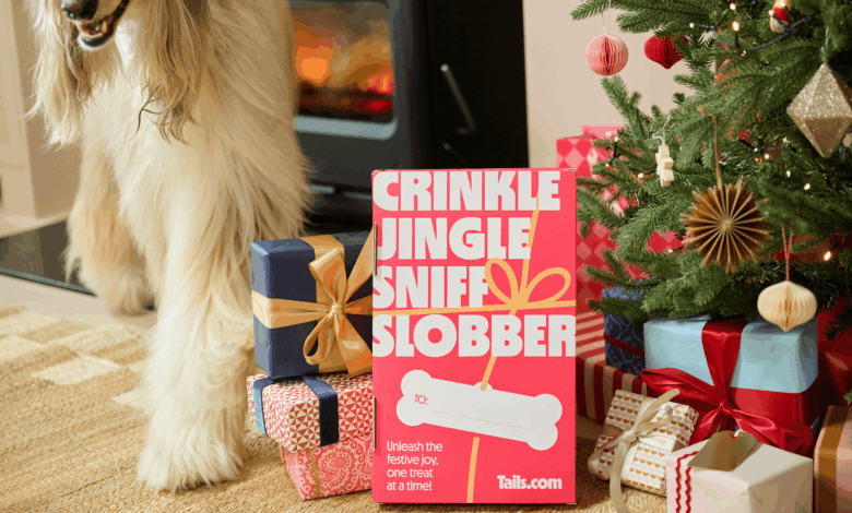 Tails.com launches 2025 Advent Calendar for dogs