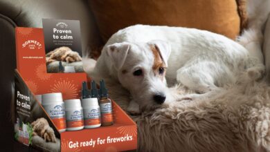 Dorwest Herbs releases Calming Product Pack to help dogs stay calm this fireworks season