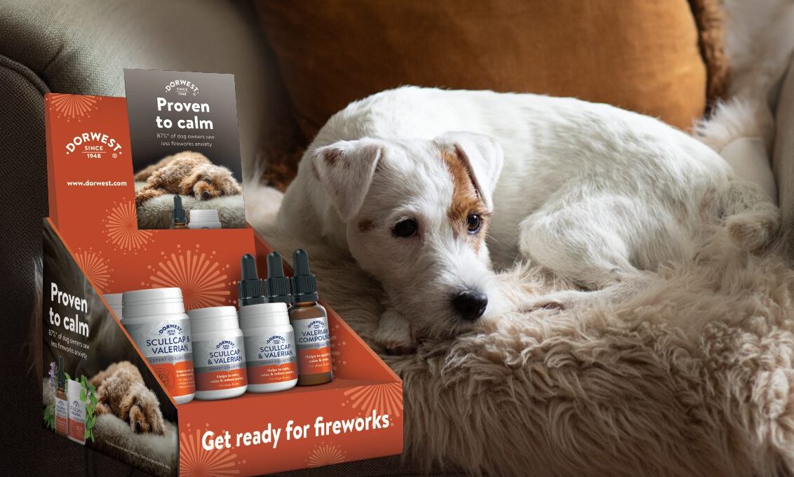 Dorwest Herbs releases Calming Product Pack to help dogs stay calm this fireworks season