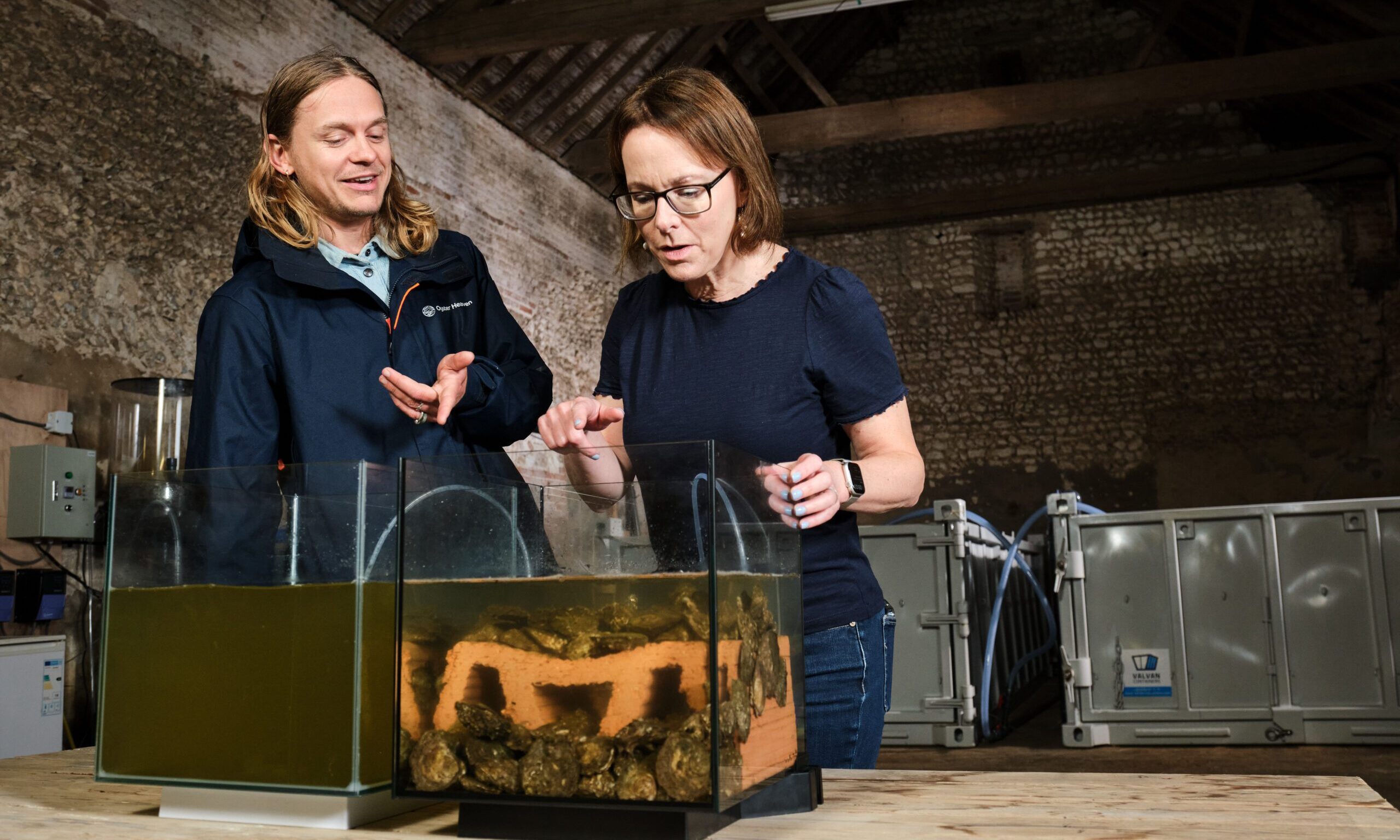 Purina backs major oyster reef restoration off Norfolk coast