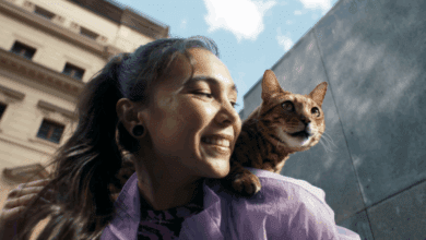 Carnilove unveils a new campaign for cats
