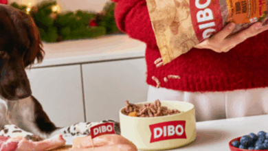 Dibo introduces festive packaging for raw dog meals