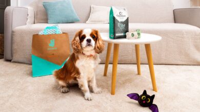 Pets Corner partners with Deliveroo for on-demand pet supplies