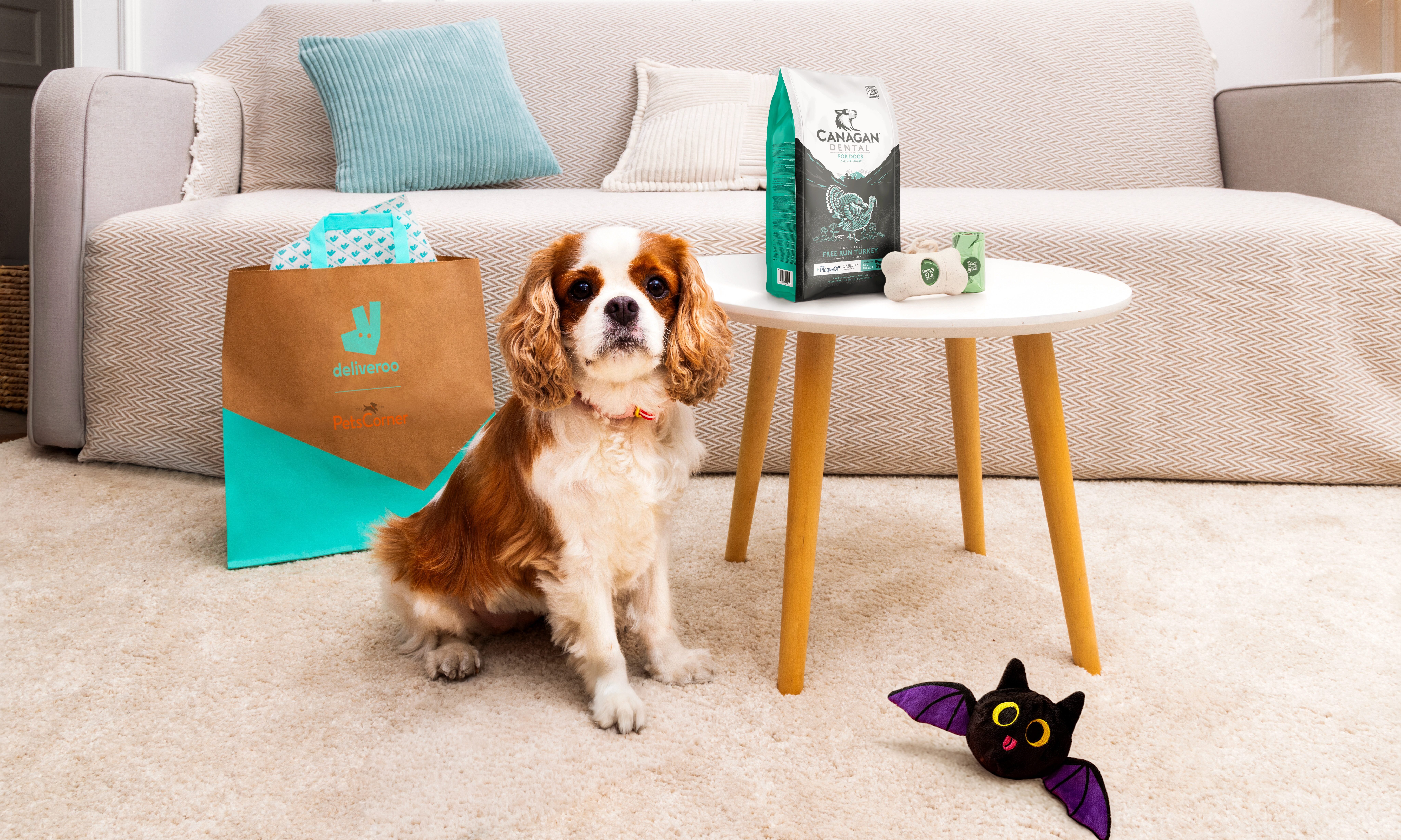 Pets Corner partners with Deliveroo for on-demand pet supplies