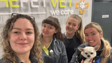 The Pet Vet secures £13m refinancing to support expansion