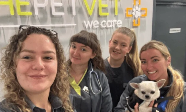 The Pet Vet secures £13m refinancing to support expansion
