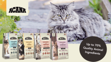 ACANA Cat – a range of four irresistible recipes that provide personalised nutrition for cats