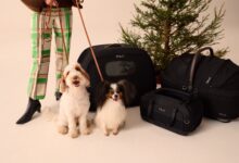 Tavo Pets unveils innovations for safer, stylish pet travel