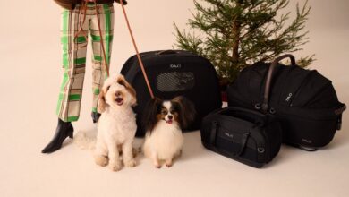 Tavo Pets unveils innovations for safer, stylish pet travel