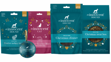 The Innocent Cat unveils festive salmon treats for cats
