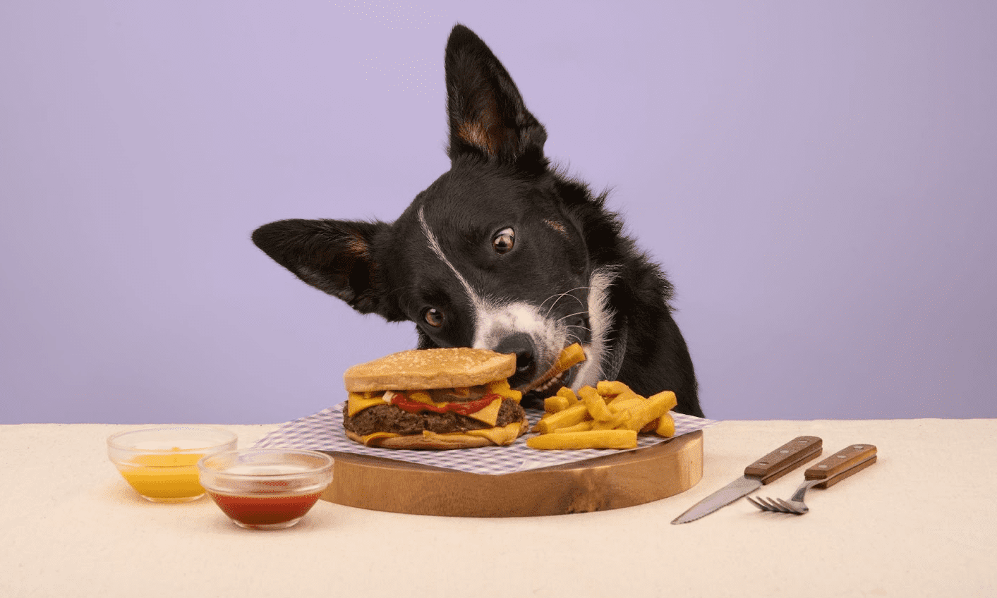 Years.com launches wild boar quarter pounder for dogs