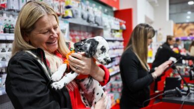 Jollyes to close stores over Xmas and New Year in recognition of staff