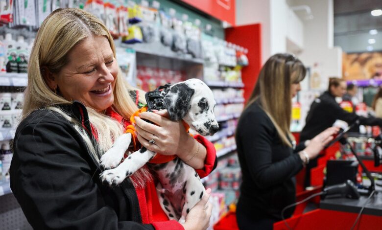 Jollyes to close stores over Xmas and New Year in recognition of staff