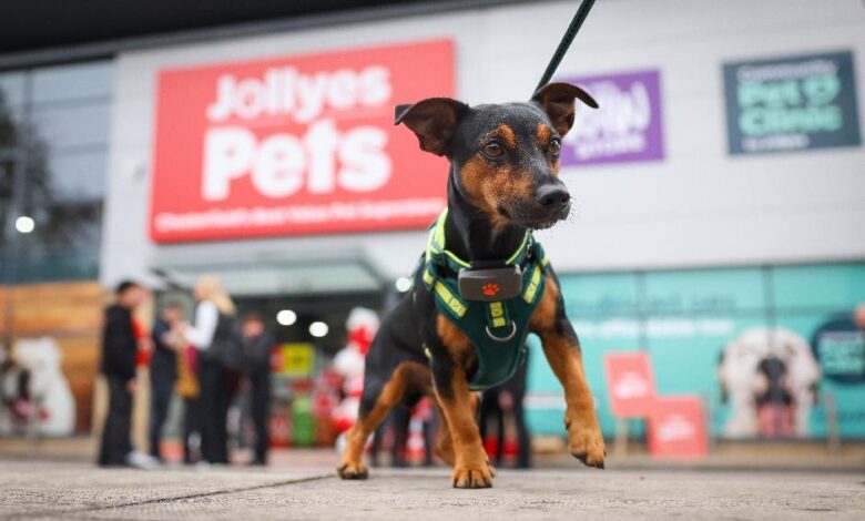 Jollyes to open six new stores in six weeks