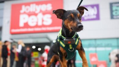 Jollyes to open six new stores in six weeks