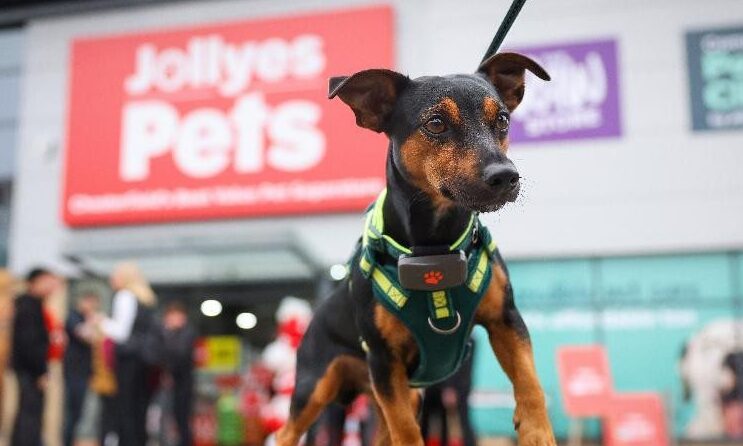 Jollyes to open six new stores in six weeks